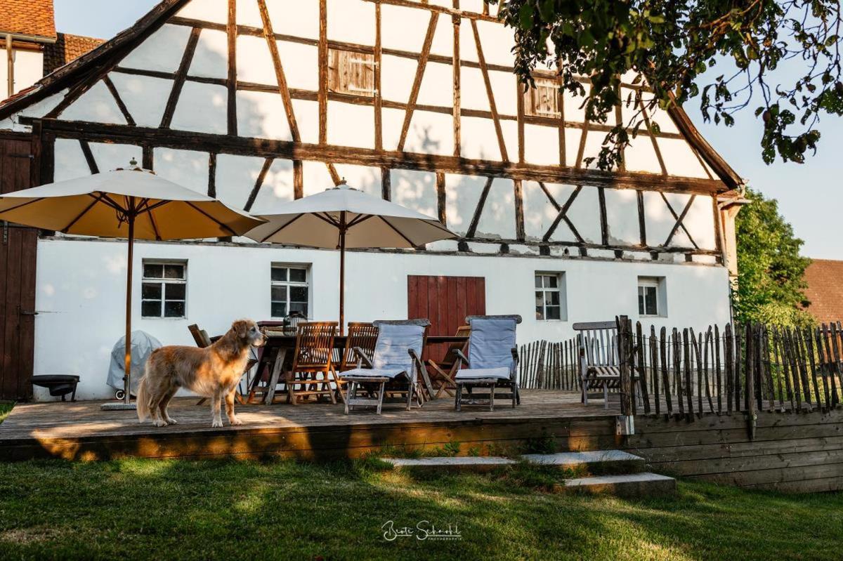 Ferienhaus Rote Sau Herrentierbach Екстер'єр фото